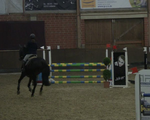 Reitturnier Hüllhorst 2019