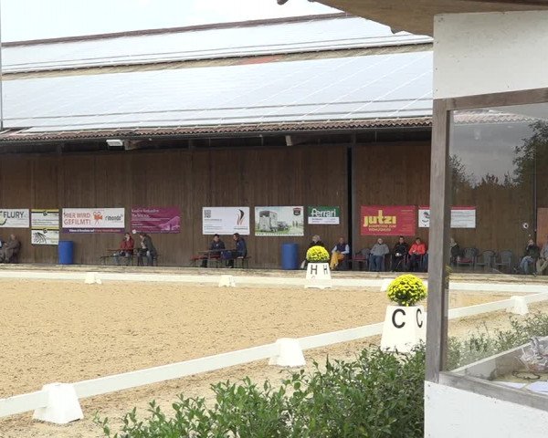 Reitturnier Deitingen 2019
