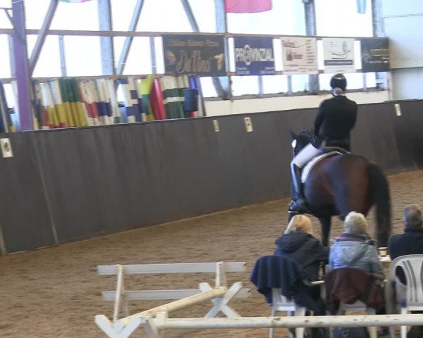 Reitturnier St. Peter Ording 2019