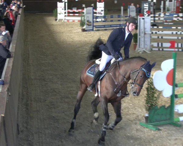 Reitturnier Hüllhorst 2019