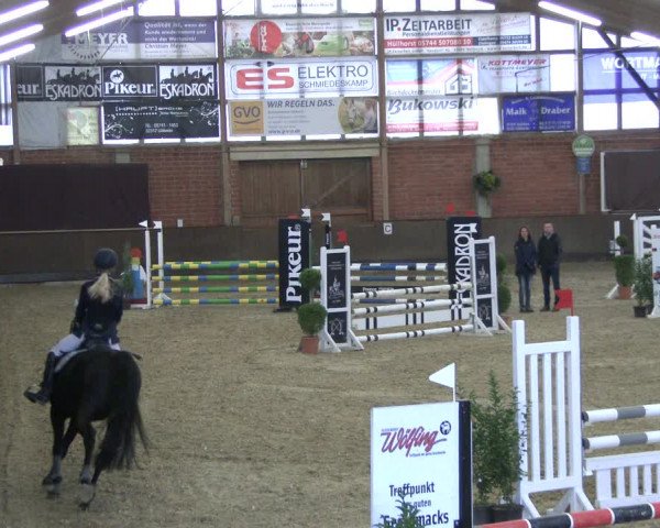 Reitturnier Hüllhorst 2019