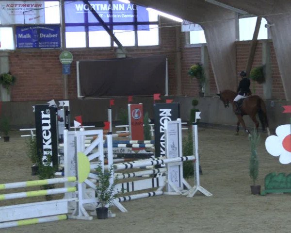 Reitturnier Hüllhorst 2019