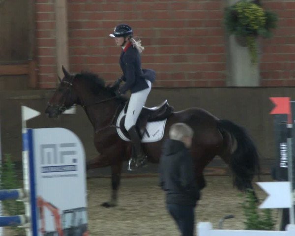 Reitturnier Hüllhorst 2019