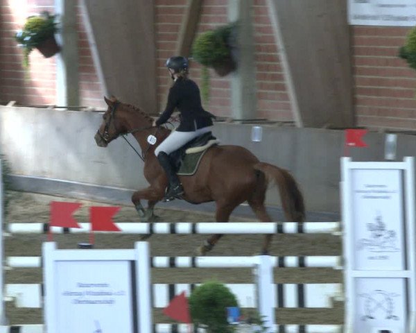 Reitturnier Hüllhorst 2019