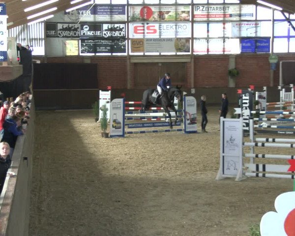 Reitturnier Hüllhorst 2019