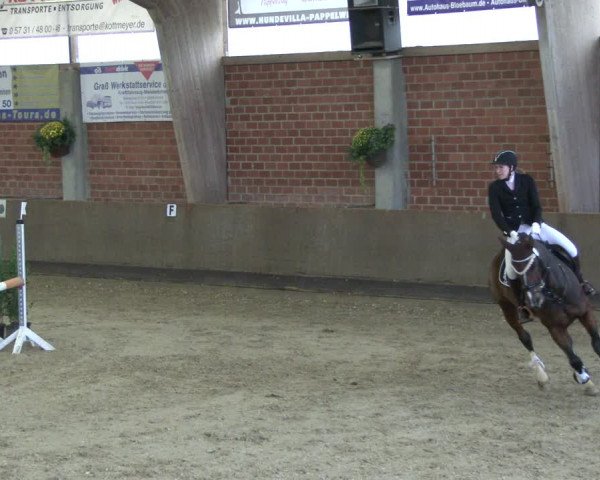 Reitturnier Hüllhorst 2019