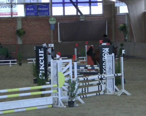 Reitturnier Hüllhorst 2019
