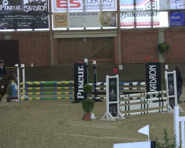 Reitturnier Hüllhorst 2019