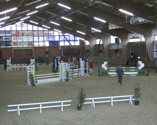 Reitturnier Hüllhorst 2019