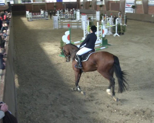 Reitturnier Hüllhorst 2019