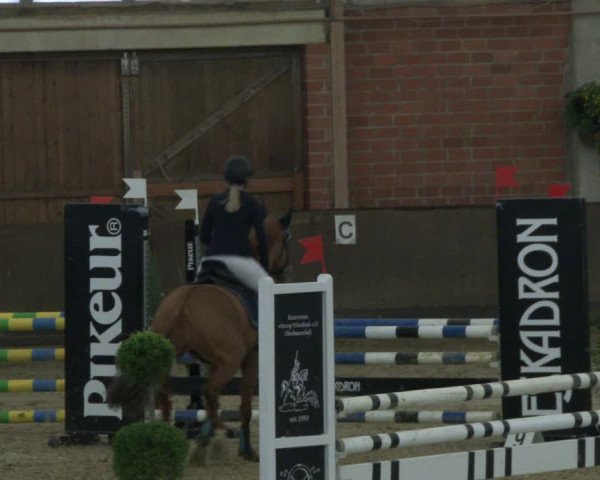 Reitturnier Hüllhorst 2019