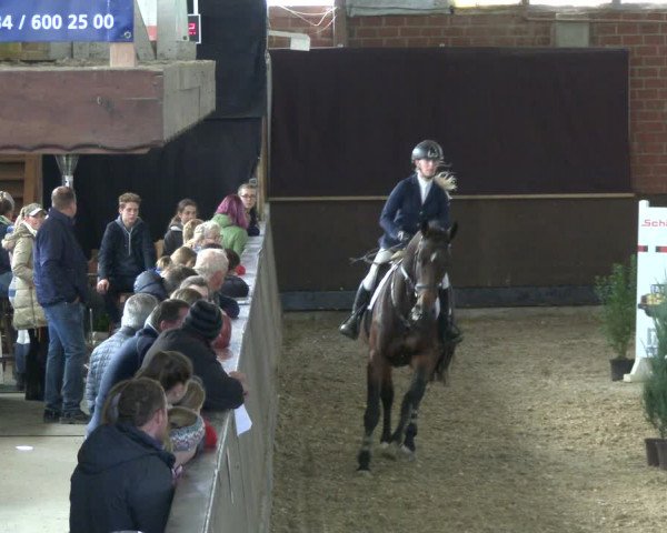 Reitturnier Hüllhorst 2019