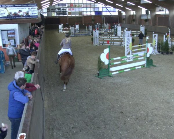 Reitturnier Hüllhorst 2019