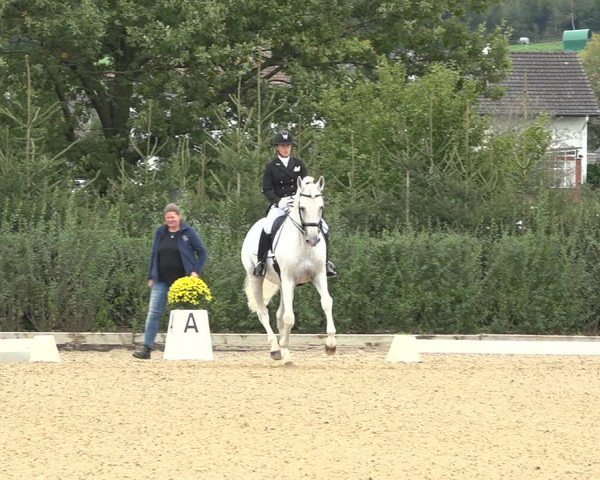 Reitturnier Deitingen 2019