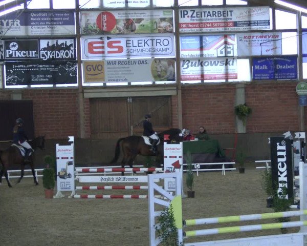 Reitturnier Hüllhorst 2019
