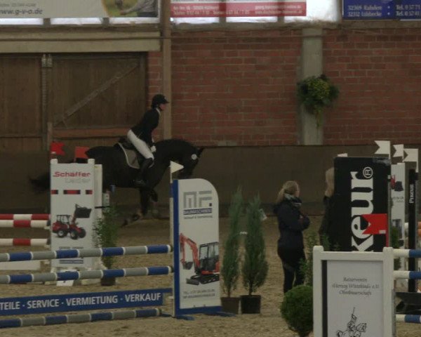 Reitturnier Hüllhorst 2019