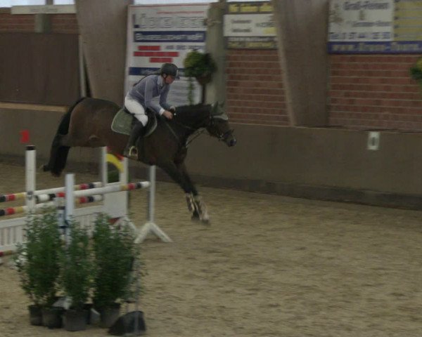 Reitturnier Hüllhorst 2019