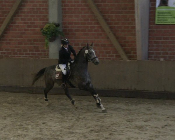 Reitturnier Hüllhorst 2019