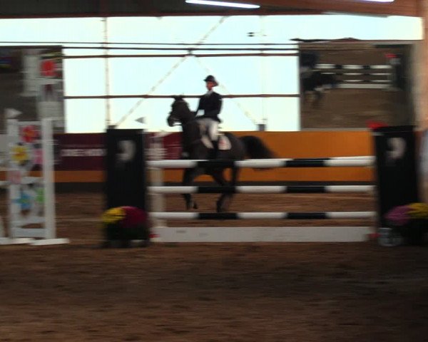 Reitturnier Pausin 2019