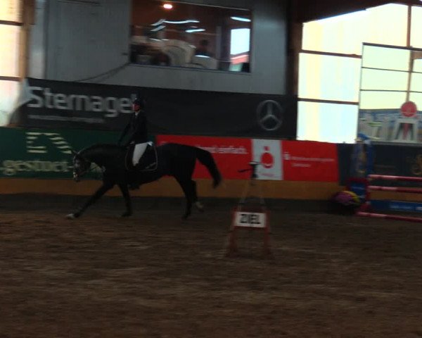 Reitturnier Pausin 2019