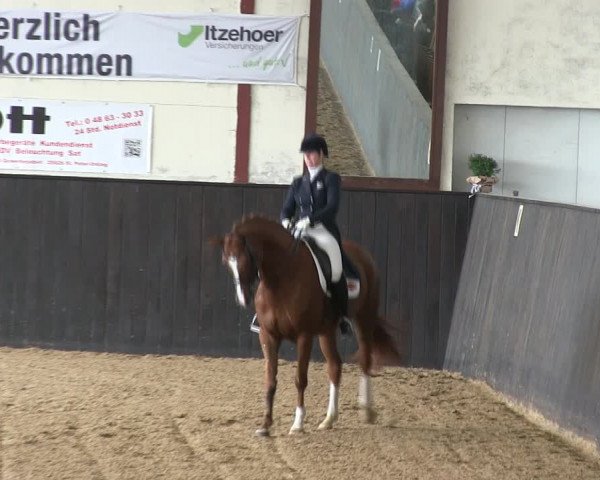 Reitturnier St. Peter Ording 2019