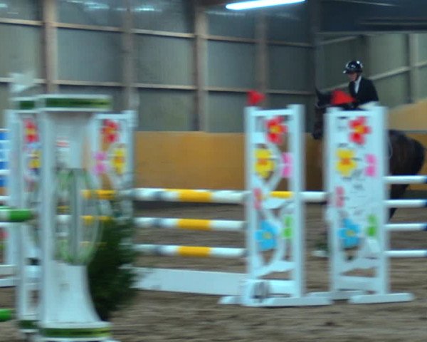 Reitturnier Pausin 2019