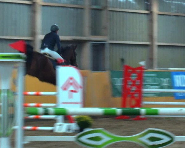 Reitturnier Pausin 2019