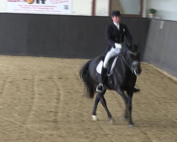 Reitturnier St. Peter Ording 2019