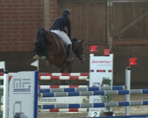 Reitturnier Hüllhorst 2019
