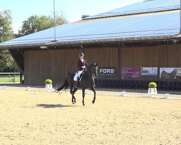 Reitturnier Deitingen 2019
