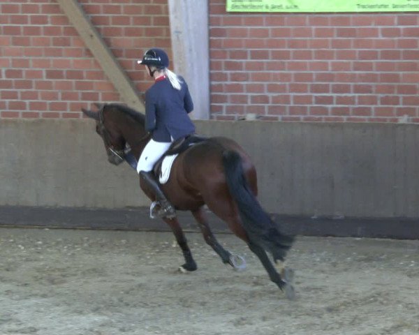 Reitturnier Hüllhorst 2019