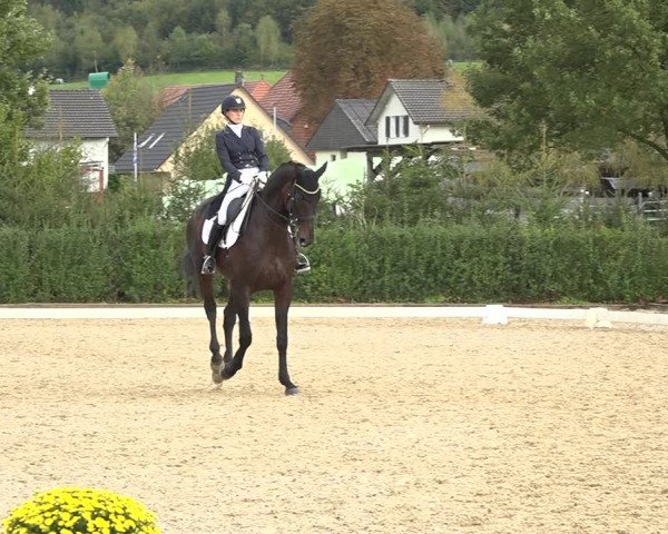 Reitturnier Deitingen 2019