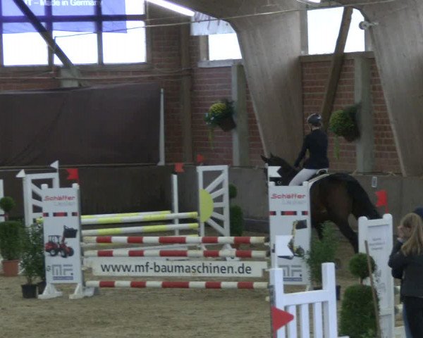 Reitturnier Hüllhorst 2019