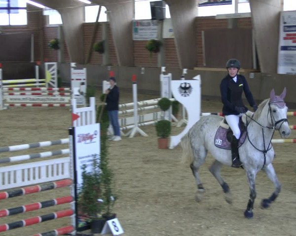 Reitturnier Hüllhorst 2019