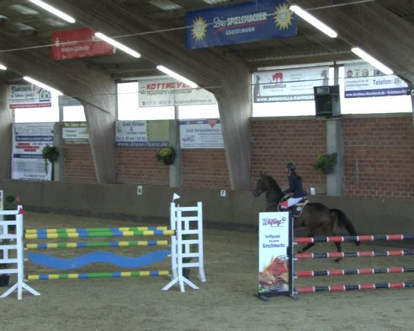 Reitturnier Hüllhorst 2019