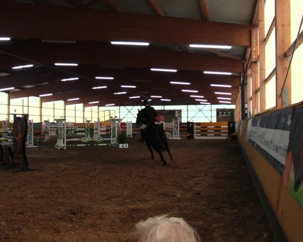 Reitturnier Pausin 2019