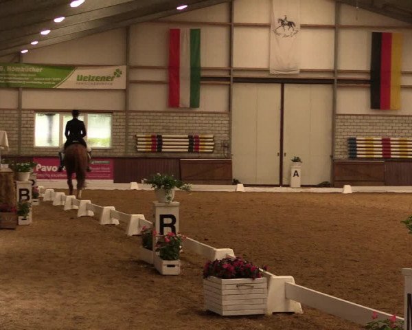 Reitturnier Kirchhellen-RSV Zur Linde 2019
