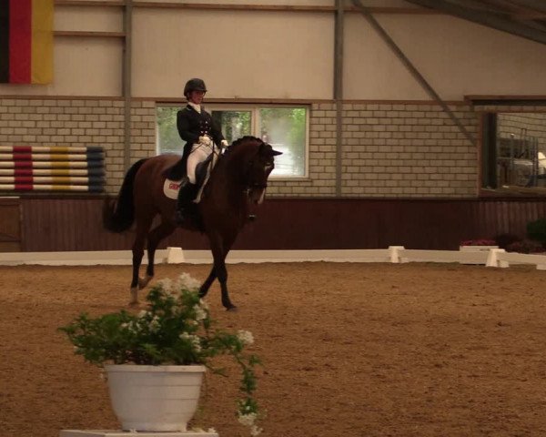 Reitturnier Kirchhellen-RSV Zur Linde 2019