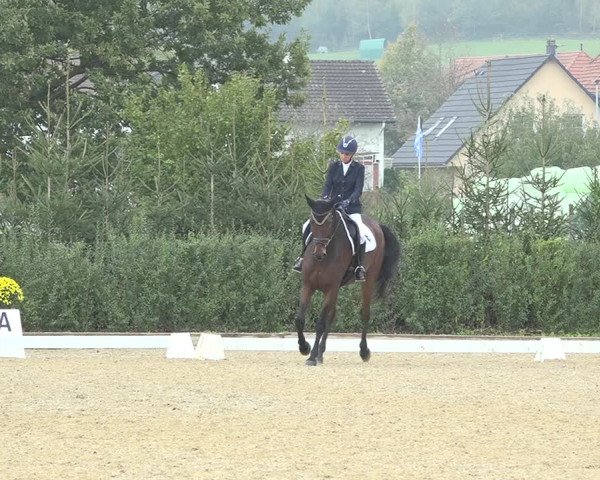 Reitturnier Deitingen 2019