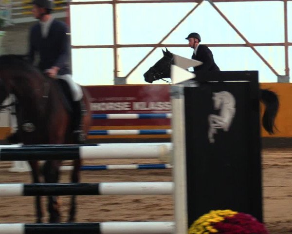 Reitturnier Pausin 2019