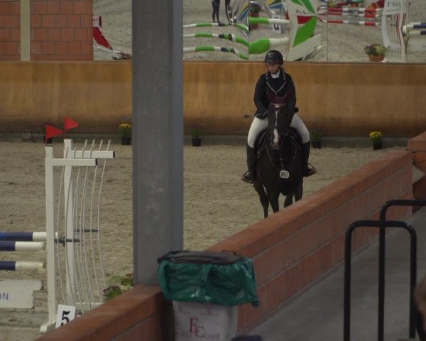 Reitturnier Mönchengladbach-Wickrath 2019