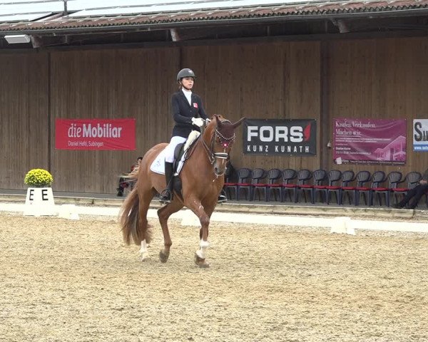 Reitturnier Deitingen 2019