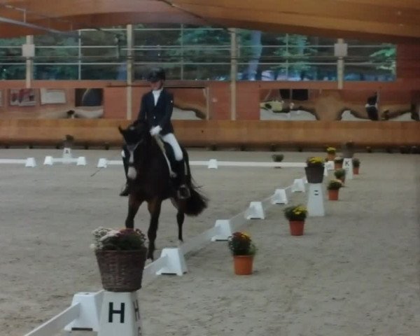 Reitturnier Mönchengladbach-Wickrath 2019