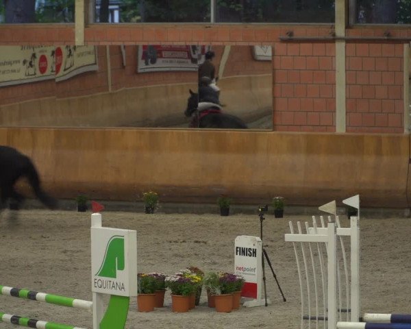 Reitturnier Mönchengladbach-Wickrath 2019