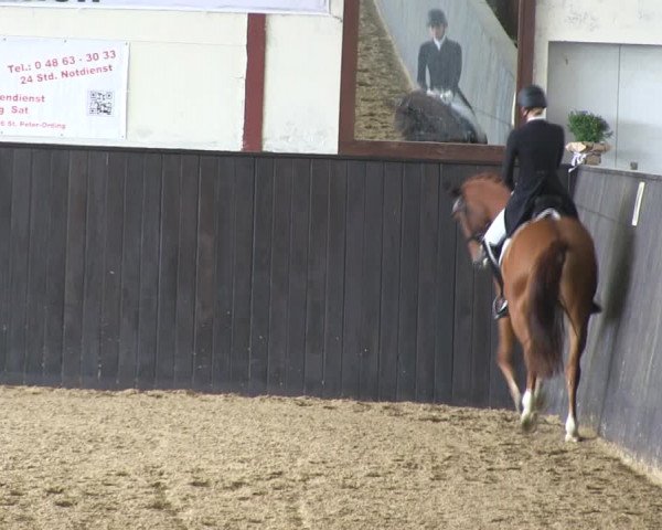 Reitturnier St. Peter Ording 2019