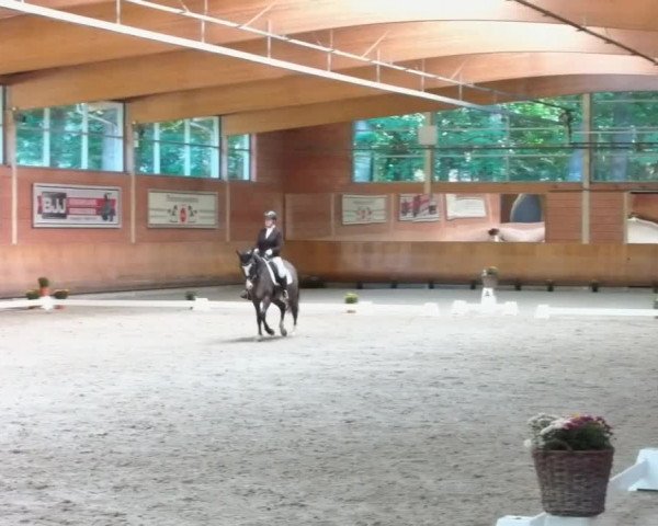 Reitturnier Mönchengladbach-Wickrath 2019