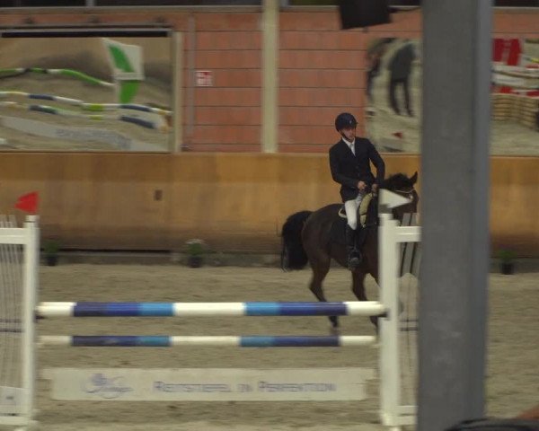 Reitturnier Mönchengladbach-Wickrath 2019
