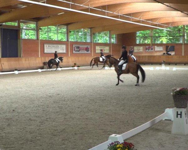 Reitturnier Mönchengladbach-Wickrath 2019
