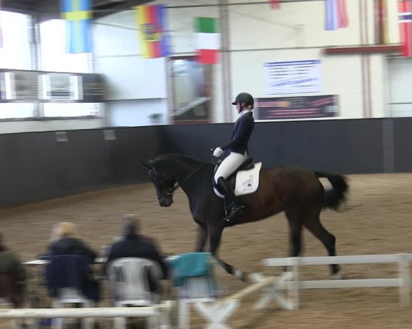Reitturnier St. Peter Ording 2019