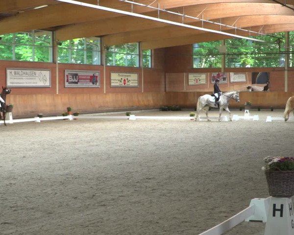 Reitturnier Mönchengladbach-Wickrath 2019